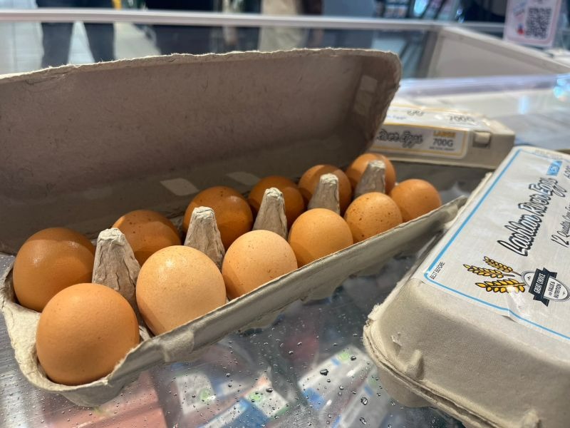 中油：27日起 汽、柴油價格不調整