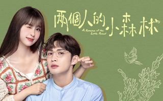 兩個人的小森林.全劇免費看.35集
